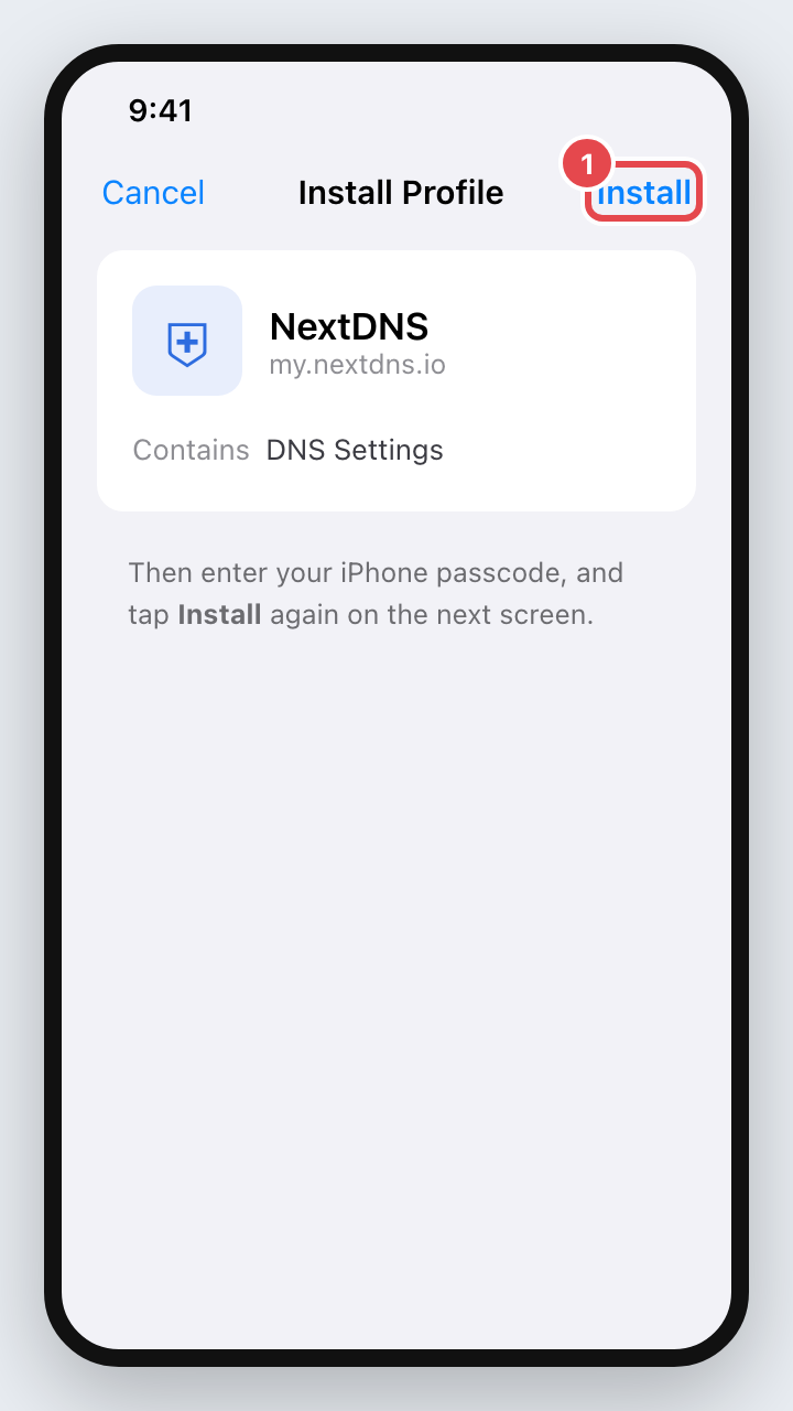 Install Profile screen with Install highlighted