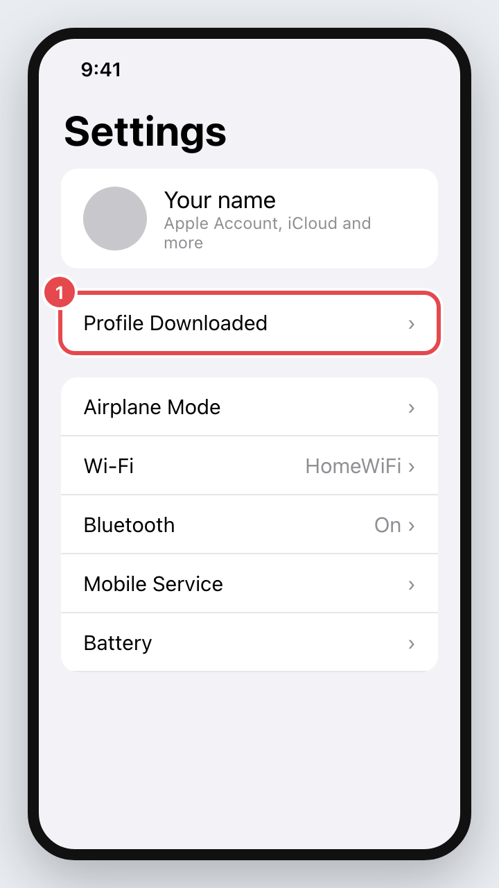 Settings with Profile Downloaded highlighted