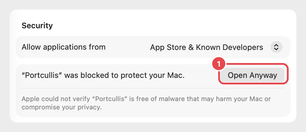 Security section with the Open Anyway button highlighted
