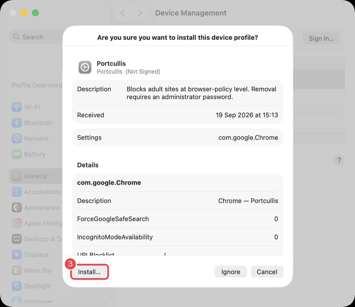 Profile review with Install highlighted